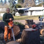 Zane Wood - Bridgetown Tree Service
